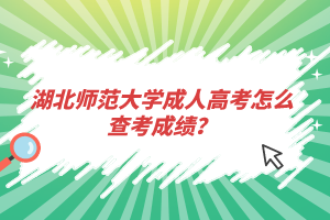 湖北师范大学成人高考怎么查考成绩？