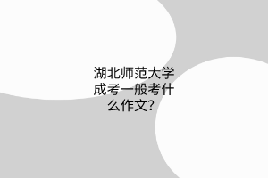 湖北师范大学成考一般考什么作文？