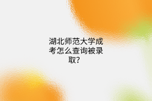 湖北师范大学成考怎么查询被录取？