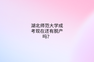 湖北师范大学成考现在还有脱产吗？